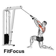 Cable Kneeling Rear Delt Row (with Rope) (male)