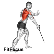 Band One Arm Standing Low Row