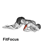 Bodyweight Kneeling Triceps Extension