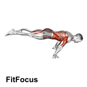 Full Planche Push-up