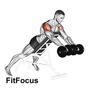 Dumbbell Rotation Reverse Fly