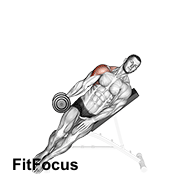 Dumbbell Incline One Arm Lateral Raise