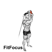 Cable Alternate Triceps Extension