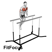 Chest Dip On Straight Bar