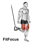 Suspended Split Squat