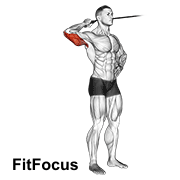 Band Side Triceps Extension