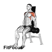 Dumbbell Seated Front Raise