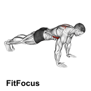 Scapula Push-up