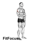 Cable Standing Shoulder External Rotation