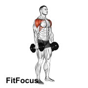 Dumbbell Lateral To Front Raise