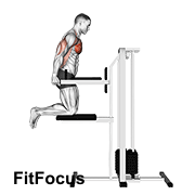 Assisted Chest Dip (kneeling)