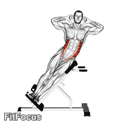 45° Side Bend GIF — animated core exercise demonstration