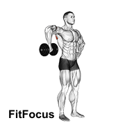 Dumbbell Upright Shoulder External Rotation