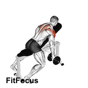 Dumbbell Incline T-raise