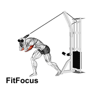 Cable Rope High Pulley Overhead Tricep Extension