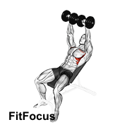 Dumbbell Incline Shoulder Raise