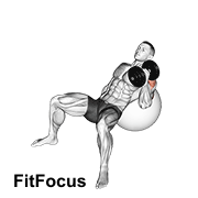 Dumbbell Incline One Arm Hammer Press On Exercise Ball