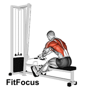 Cable Rope Crossover Seated Row