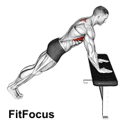 Incline Scapula Push Up