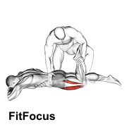 Assisted Prone Lying Quads Stretch