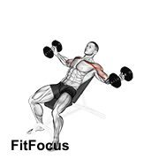 Dumbbell Incline Twisted Flyes