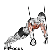 Suspended Push-up