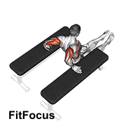 Triceps Dip (between Benches)