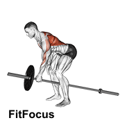 Lever One Arm Bent Over Row