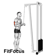 Cable Triceps Pushdown (v-bar)