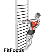 Bodyweight Standing One Arm Row