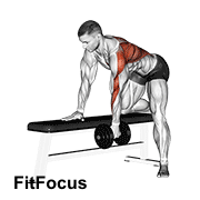 Dumbbell One Arm Bent-over Row