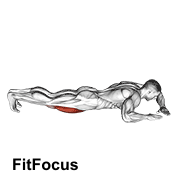 Lying (side) Quads Stretch