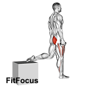 Band Single Leg Split Squat