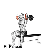 Ez Barbell Seated Triceps Extension