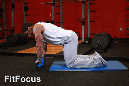 Ab Wheel Rollout GIF