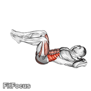 Air Bike GIF — animated core exercise demonstration
