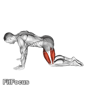 All Fours Squad Stretch GIF