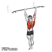Archer Pull Up GIF