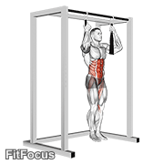 Arm Slingers Hanging Bent Knee Legs GIF