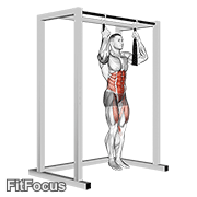 Arm Slingers Hanging Straight Legs GIF
