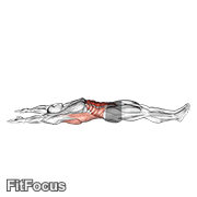 Arms Overhead Full Sit-up (male) GIF