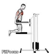 Assisted Chest Dip (kneeling)