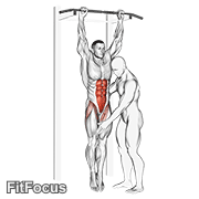 Assisted Hanging Knee Raise