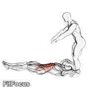 Assisted Lying Leg Raise With Throw Down GIF