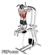 Assisted Parallel Close Grip Pull-up GIF