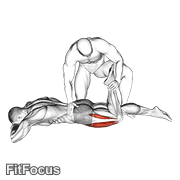 Assisted Prone Lying Quads Stretch GIF