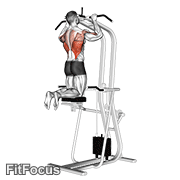 Assisted Pull-up GIF