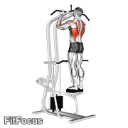 Assisted Standing Chin-up GIF