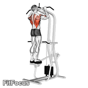 Assisted Standing Pull-up GIF