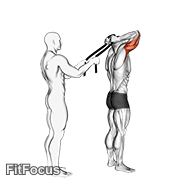 Assisted Standing Triceps Extension (with Towel) GIF